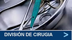 División de productos de cirugia