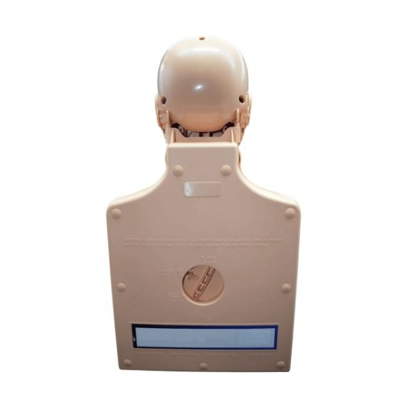 Torso Adulto para formacion RCP Advance con bolsa