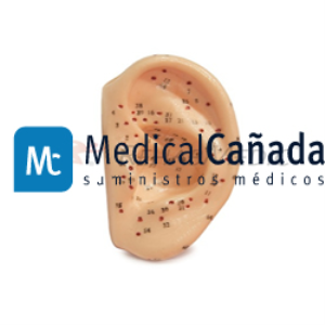 OREJA IZQUIERDA 7 cm PUNTOS ACUPUNTURA