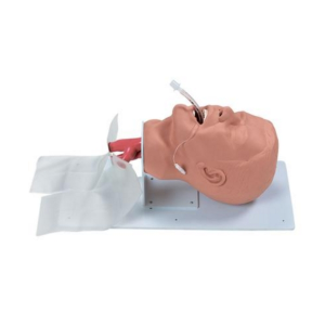 Entrenador de vías respiratorias en adultos.